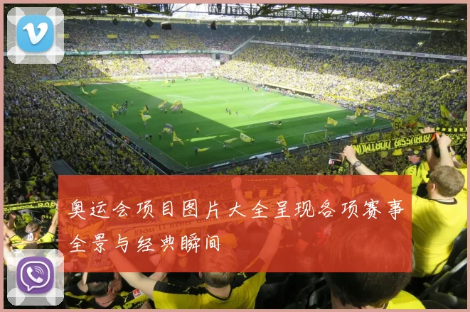 奥运会项目图片大全呈现各项赛事全景与经典瞬间